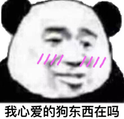 滴滴表情包