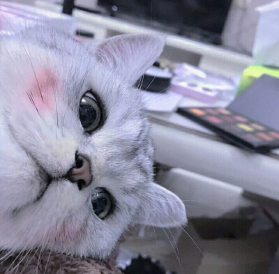 猛女头像.