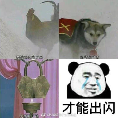 闪耀暖暖表情包.