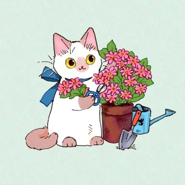 动漫头像 猫咪图片源于微博id:seevan奢问 wx公众号:情侣头像原创榜如
