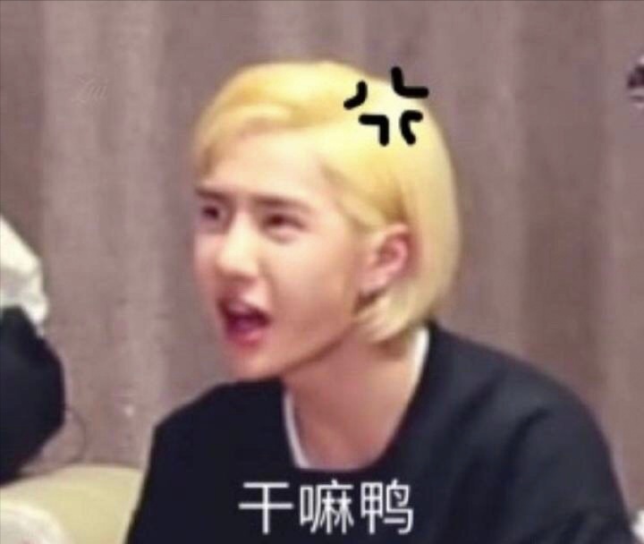 王一博表情包