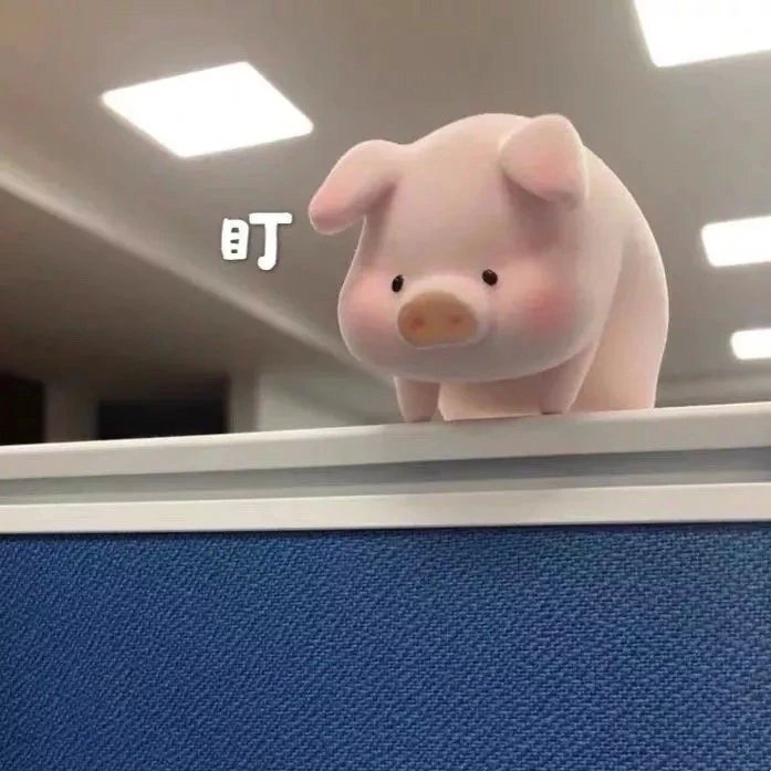 朋友圈封面 猪猪