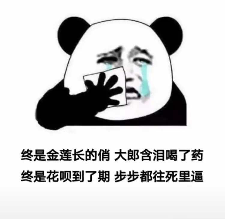 幸好我没对象不然这么热还要出去约会 #熊猫头表情包