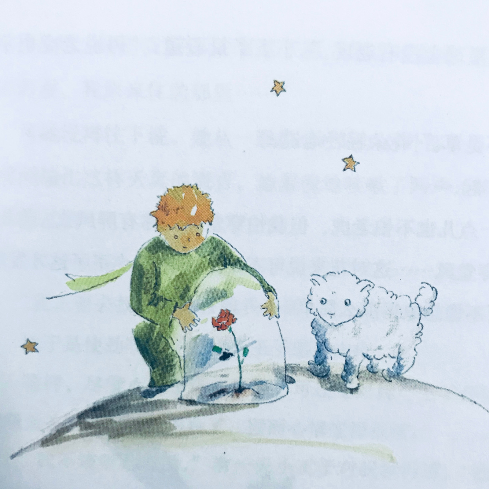 小王子 小玫瑰 the little prince