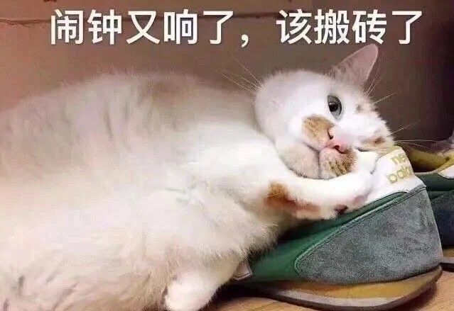 可爱撒娇猫猫头表情包