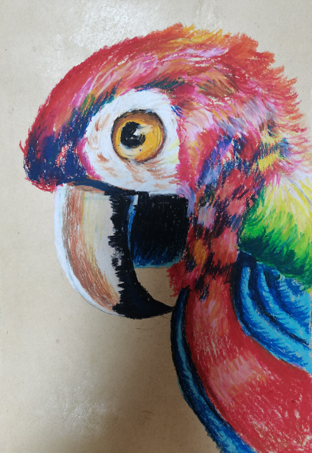 大视觉美术工作室重彩油画棒教程-鹦鹉(羽毛的画法)