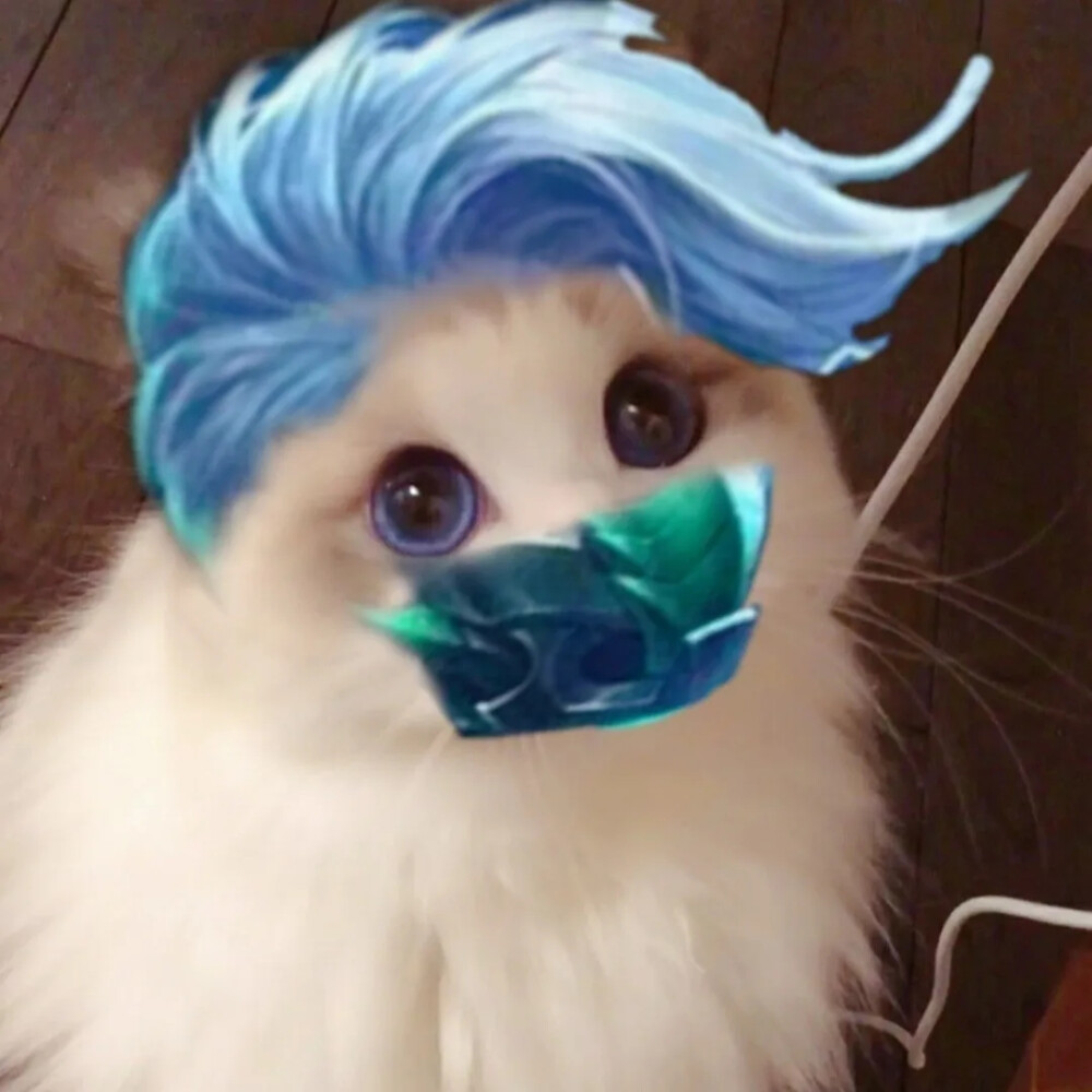 王者荣耀野王×猫 萌萌头像
