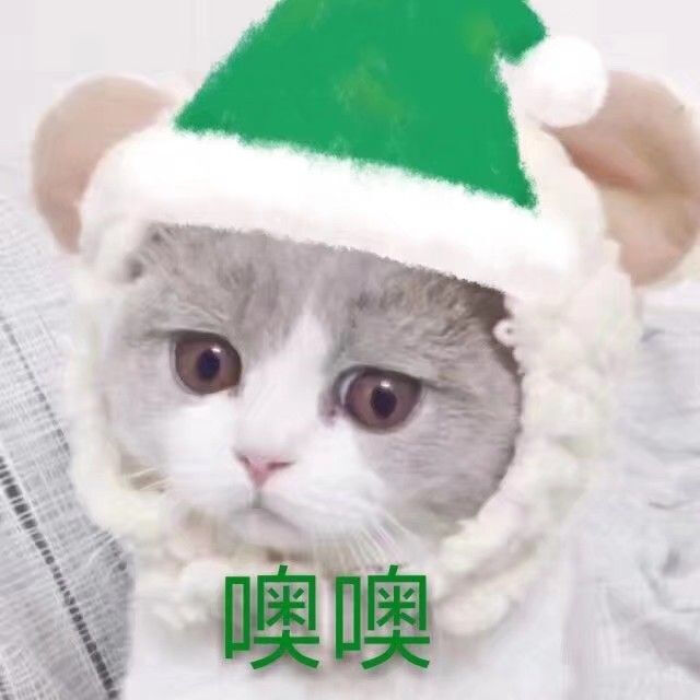 猫咪表情包 可爱