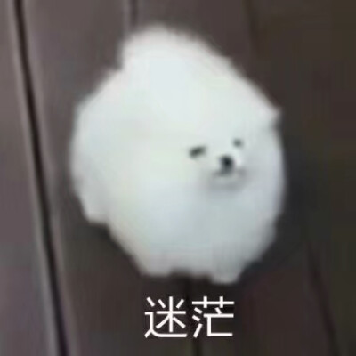 一团黑线表情包