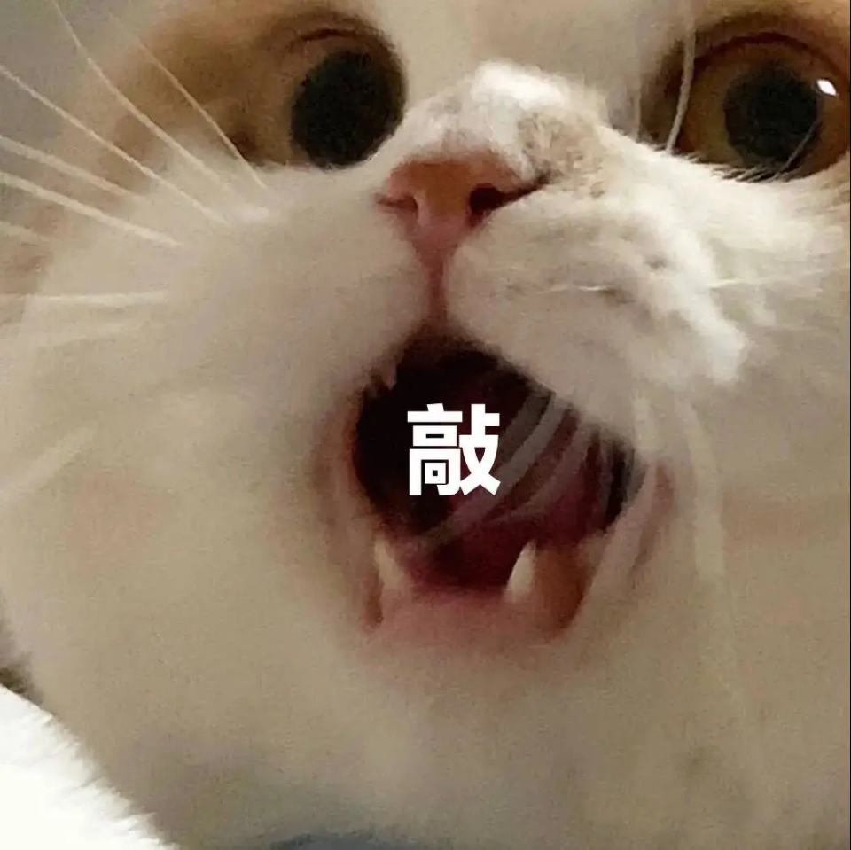 猫猫狗狗表情包