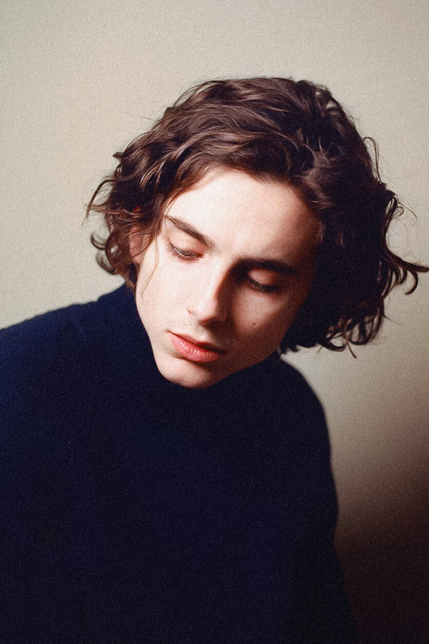 timothée chalamet 甜茶