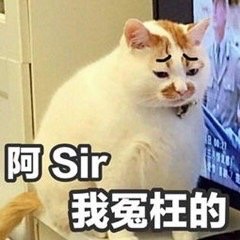 猫猫表情包楼楼阿sir我是冤枉的