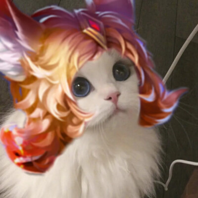 王者荣耀猫咪接头