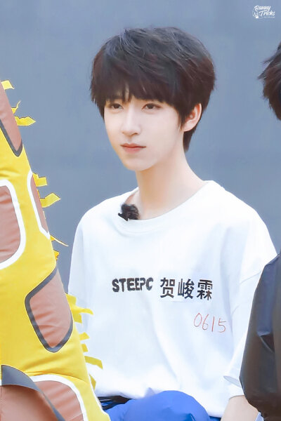 tf家族夏日运动会 贺峻霖 cr:logo