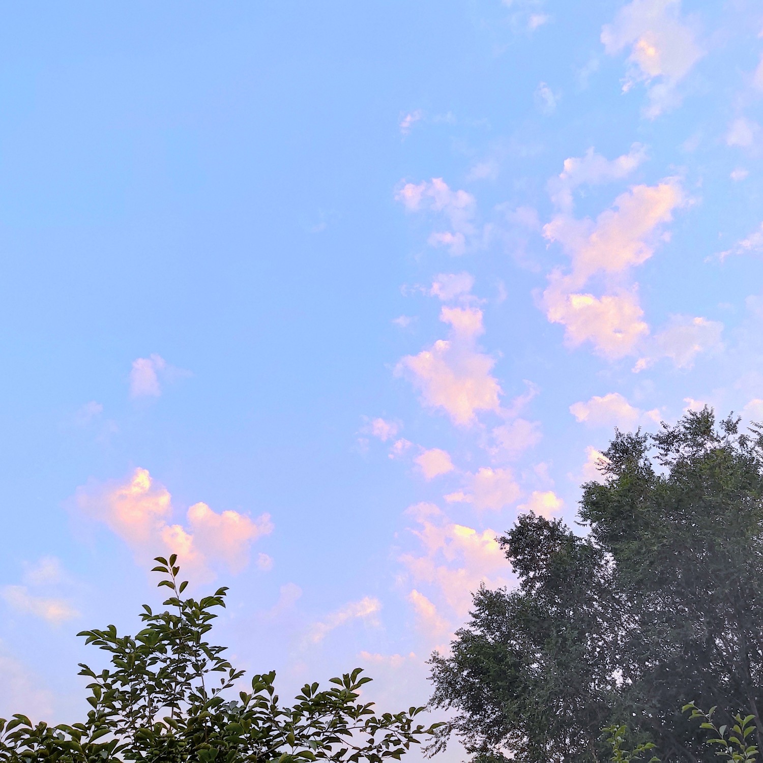 壁纸/天空/蓝色/云/梦幻
