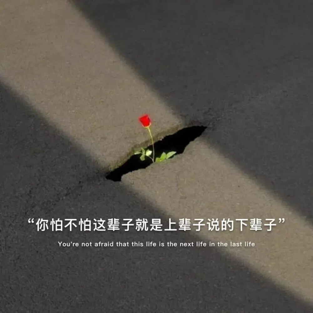要是人与人之间的关系也能恢复出厂设置就好了