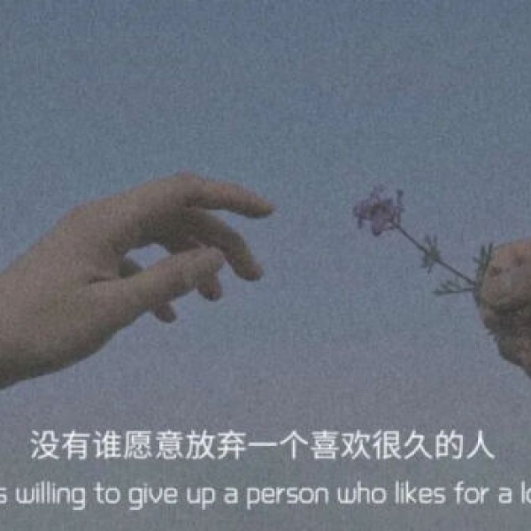 抖音背景图/文字背景图