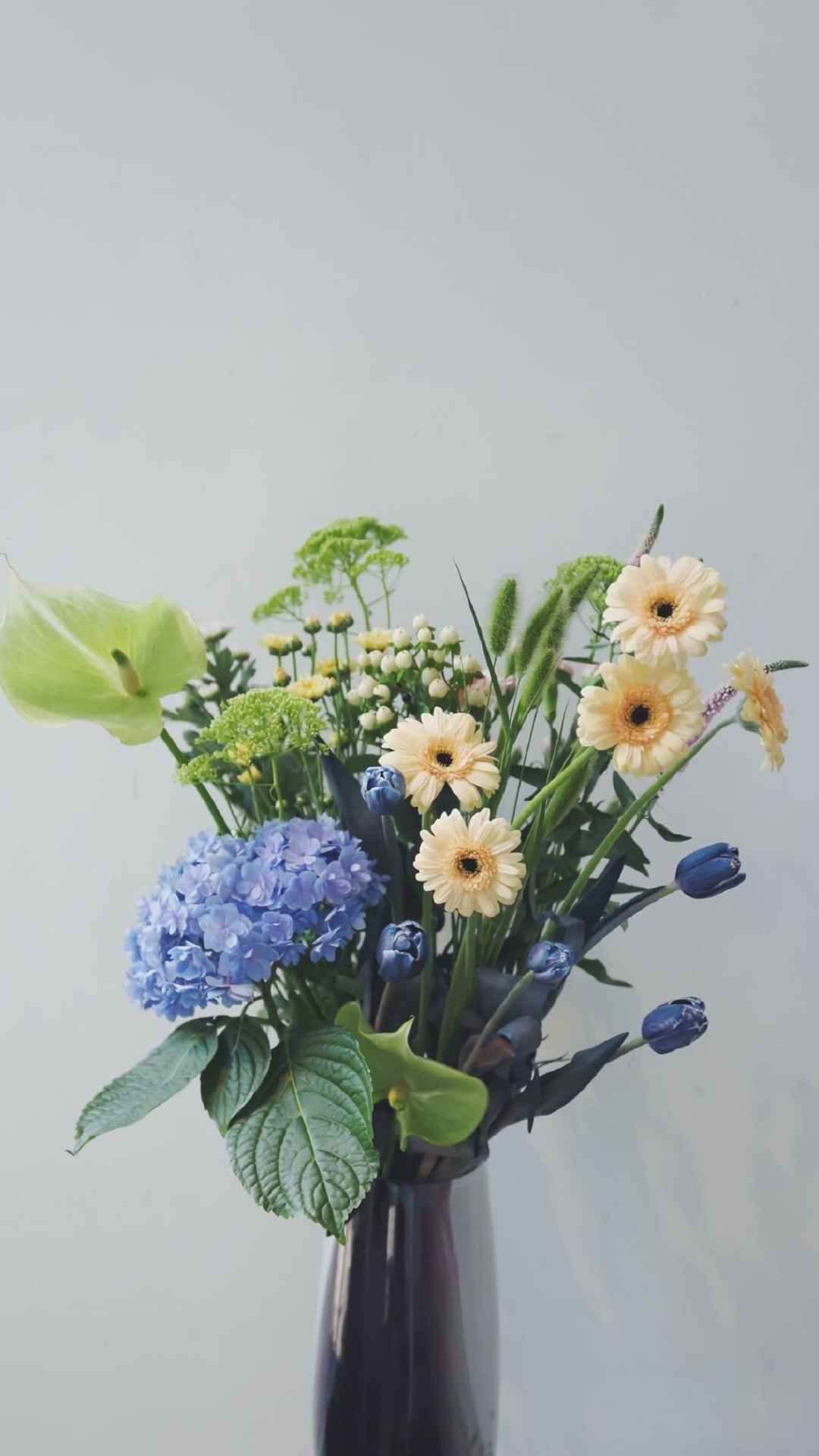 小清新植物花卉图片手机壁纸