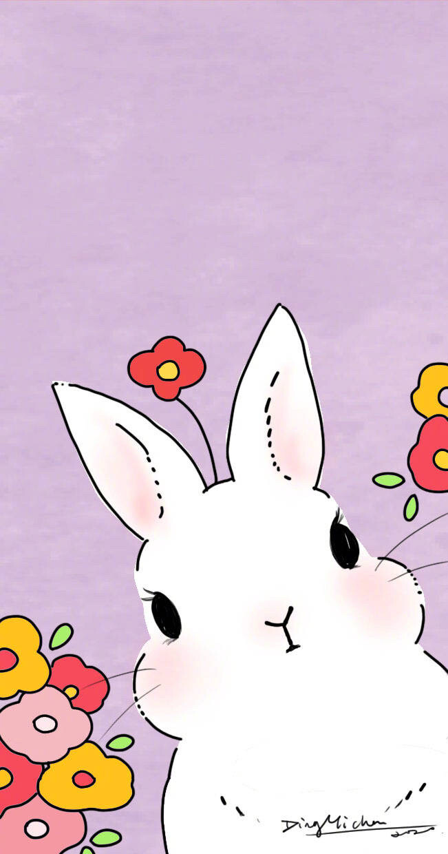 可爱兔兔壁纸/头像