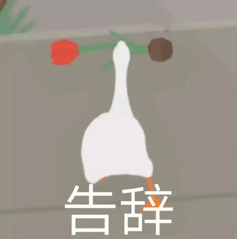 大鹅表情包
