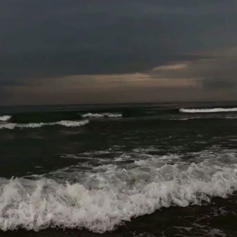 背景 是大海鸭"温柔的人像一片沼泽.