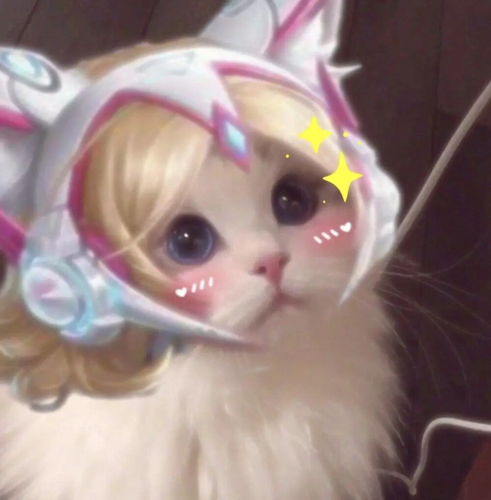 王者荣耀猫咪头像