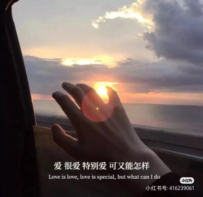 二十岁因为一句对不起流泪到深夜,二十二岁的我希望这万家灯火有一盏
