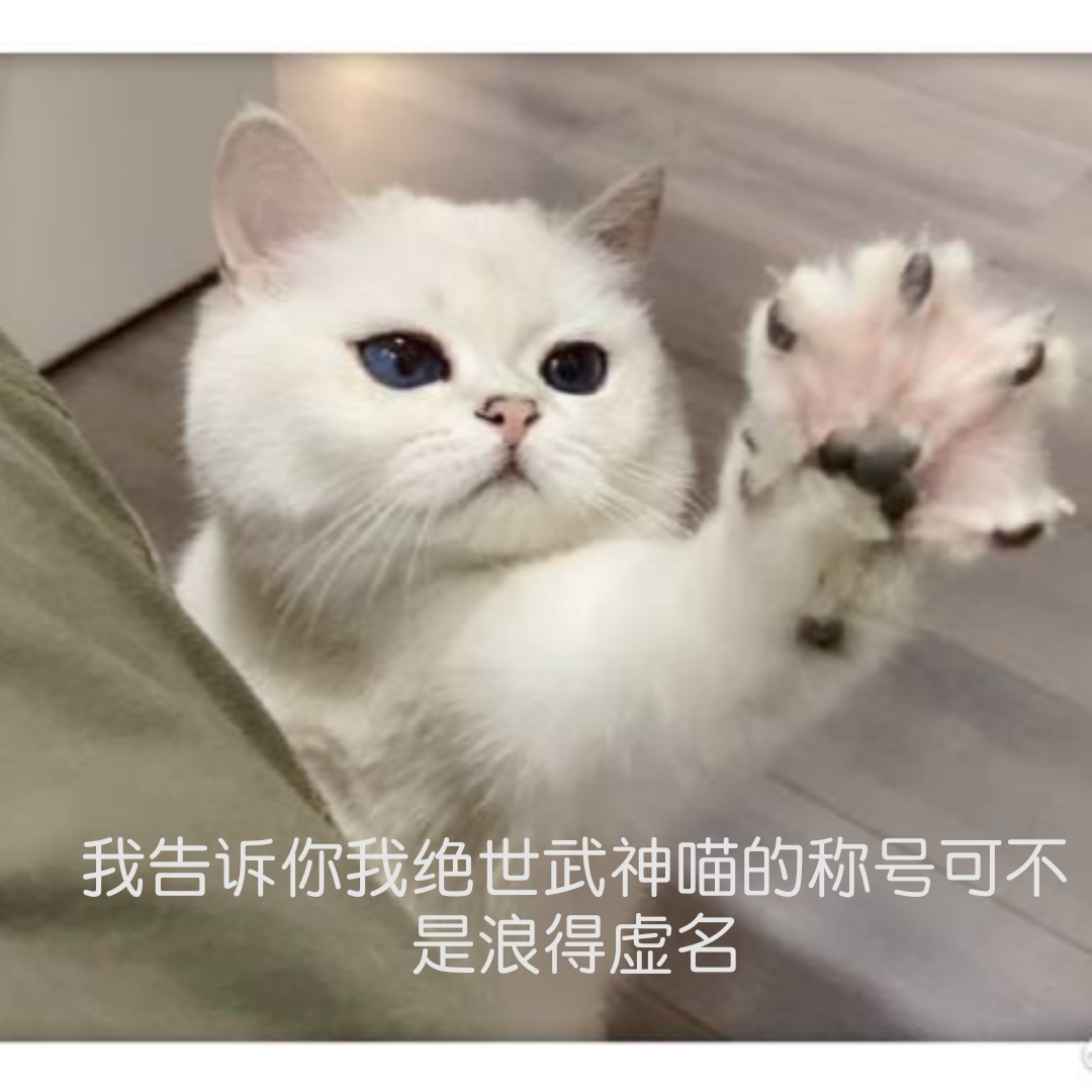 可爱猫咪表情包