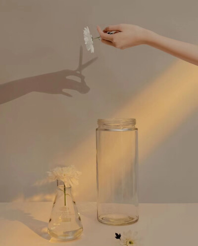 " 女人都是细节怪物 无一例外 " #背景图# cr:是你的意中人