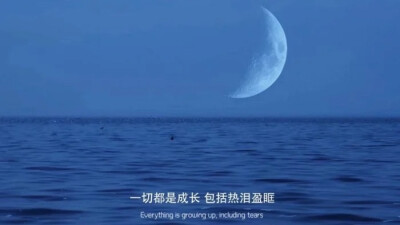 冷色系背景图没关系天空越黑星星越亮