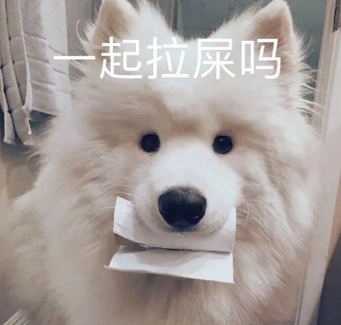 一起拉屎吗