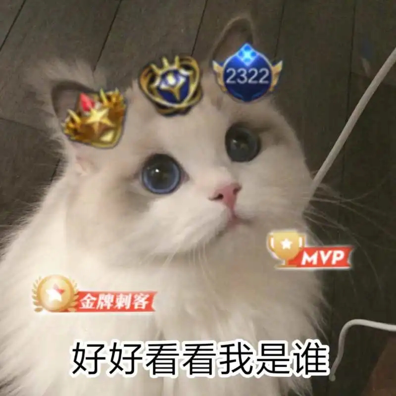 王者荣耀猫咪头像