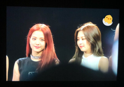 jensoo