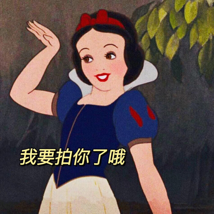 搞笑表情包 - 堆糖,美图壁纸兴趣社区
