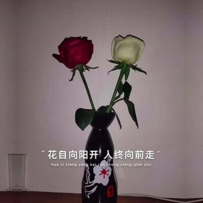 朋友圈背景图伤感的