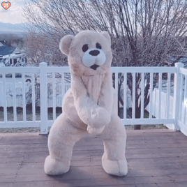 玩偶熊跳舞表情包动图第八弹