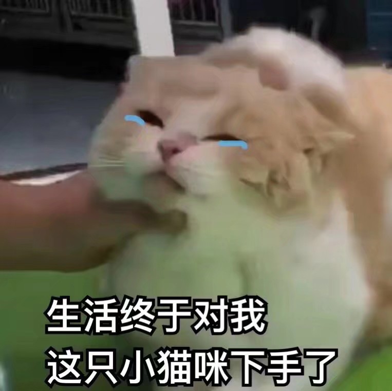 生活终于对我这只小猫咪下手了 可爱表情包