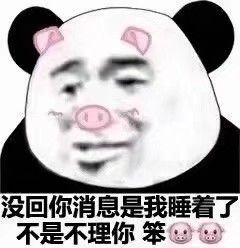 情侣表情包可爱表情包沙雕表情包恋爱表情包熊猫头表情包