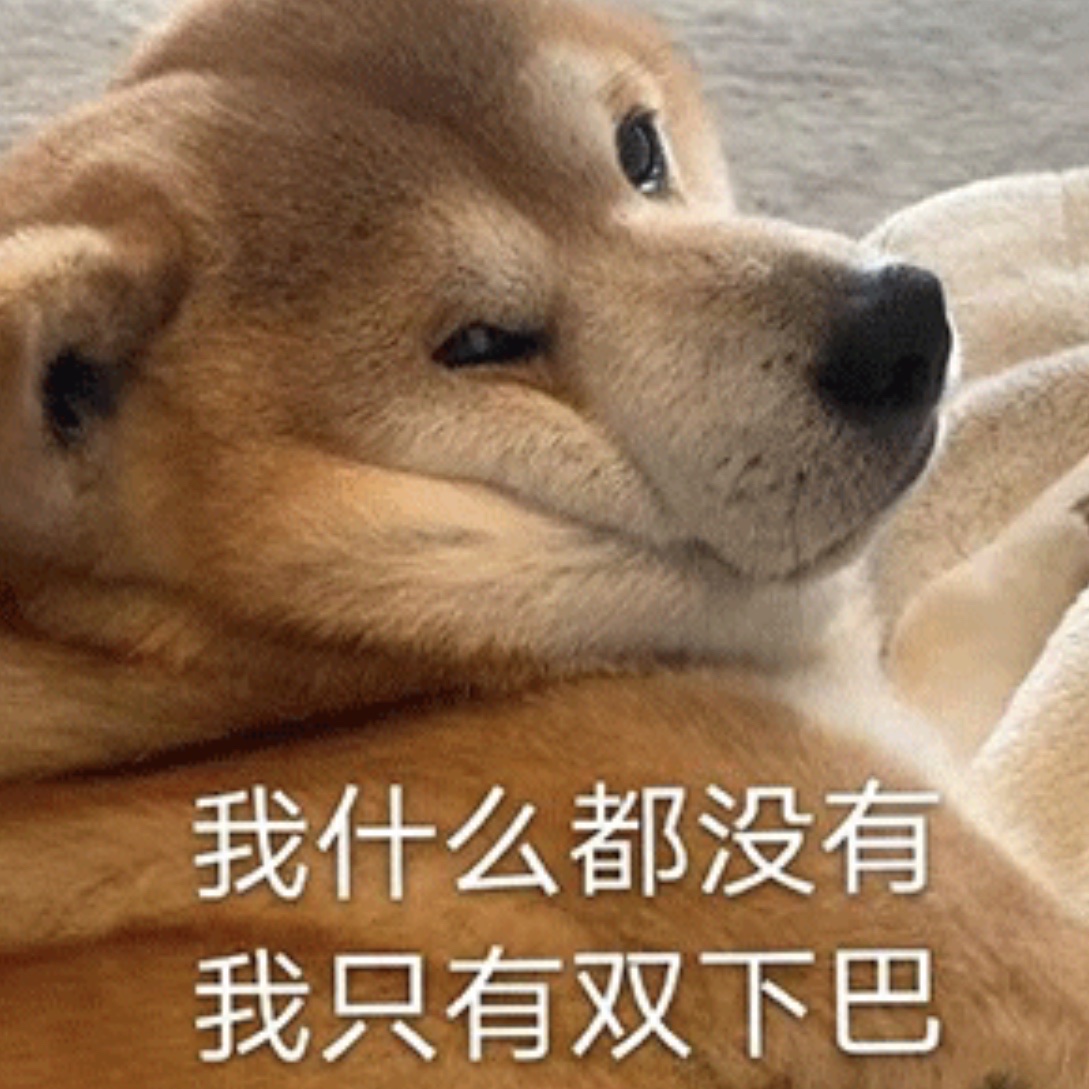 狗狗表情包