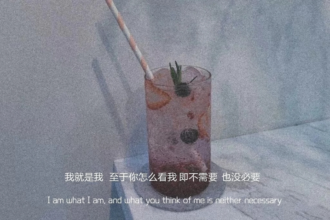 " 不懂别人就少说话 议论最掉价 "