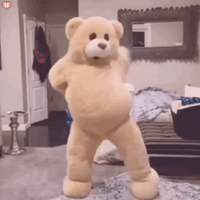熊熊表情包 动态 跳舞熊