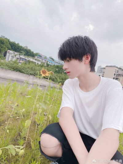 朱志鑫