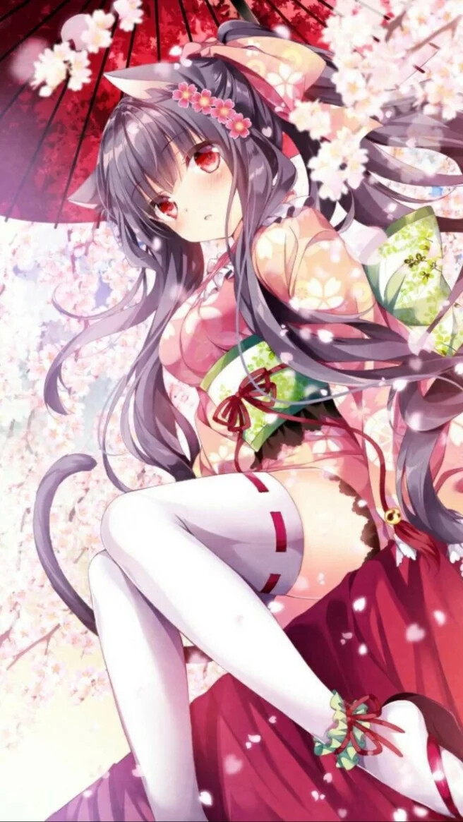 动漫