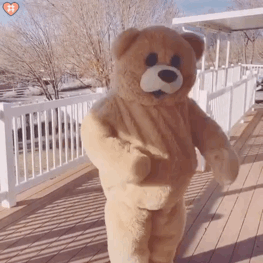 玩偶熊跳舞表情包第九期第一弹