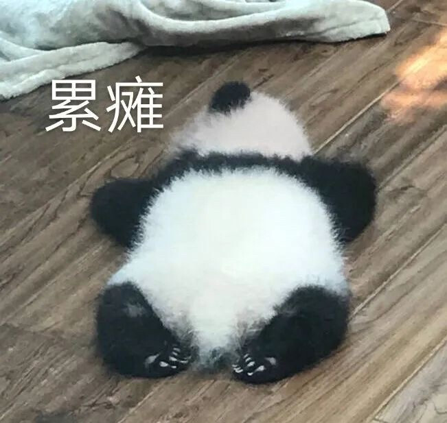 大熊猫宝宝表情包累瘫