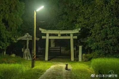 夜斗的神社 堆糖 美图壁纸兴趣社区