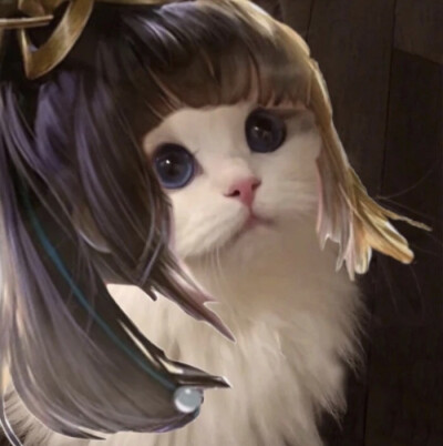猫咪头像抖音林锡的王者头像噢