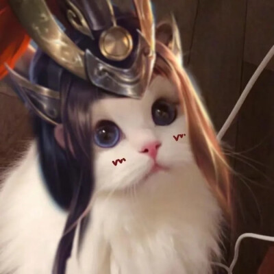 猫咪头像抖音林锡的王者头像噢