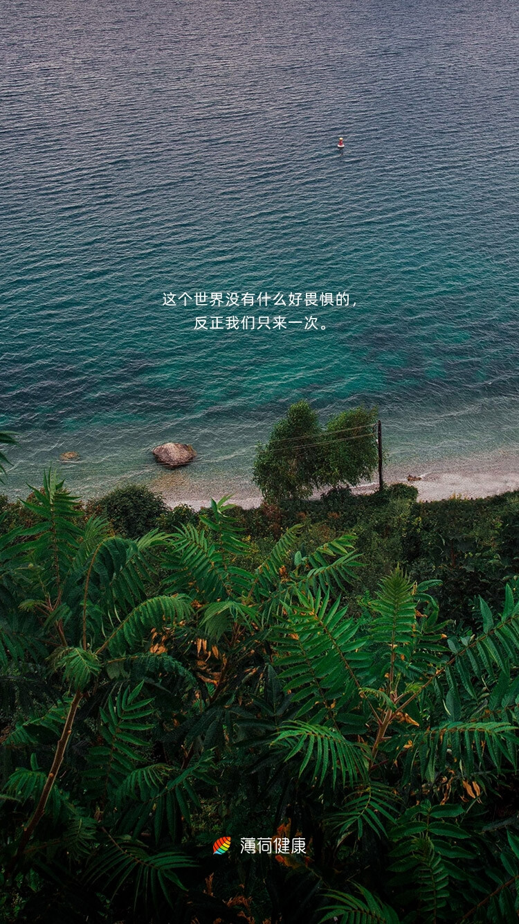 这个世界没有什么好畏惧的