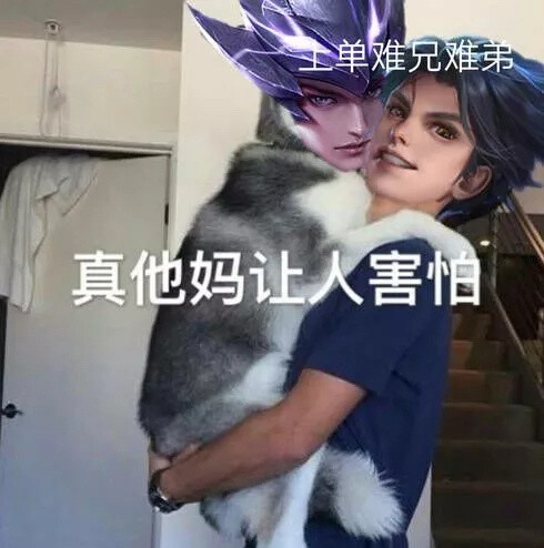带我上分